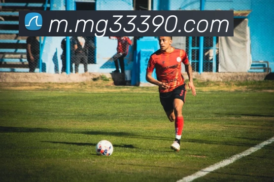 MG娱乐平台官网APP 封面图